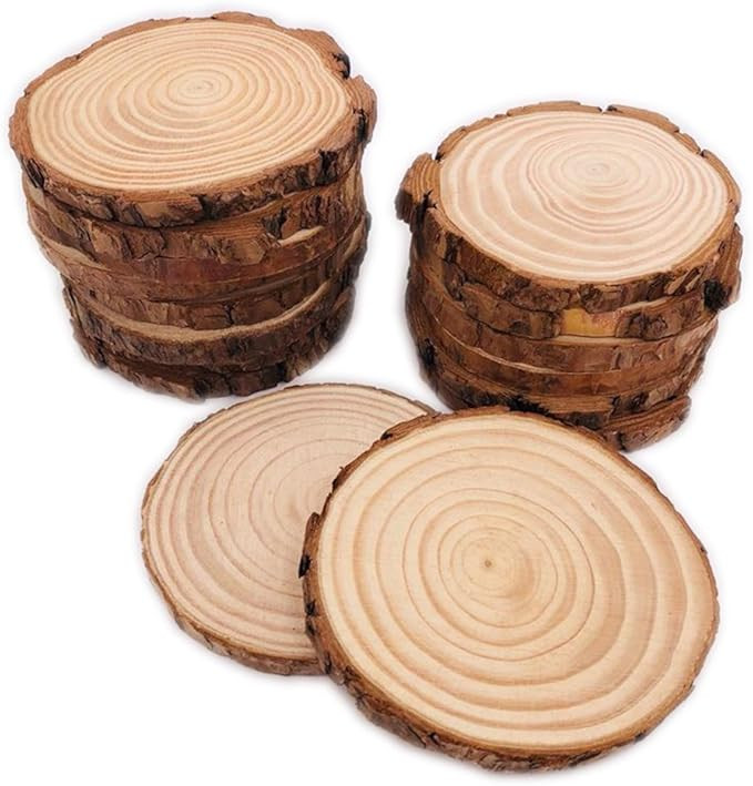 16 Pcs 3.5"-4" Unfinished Natural Wood Slices Circles with Bark for Coasters DIY Crafts Christmas... | Amazon (US)