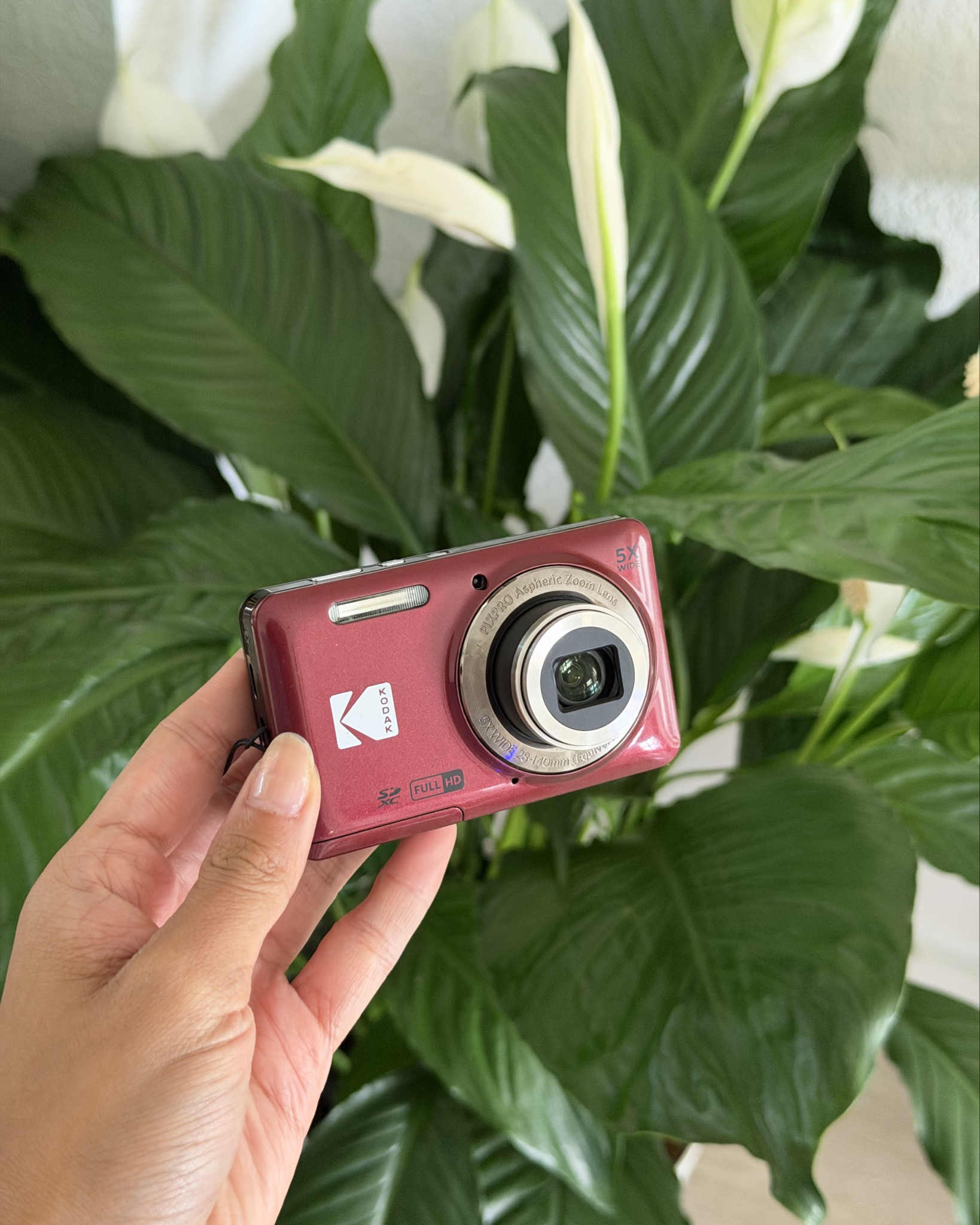 my fav affordable digital cam!

#LTKGiftGuide #LTKTravel #LTKHoliday