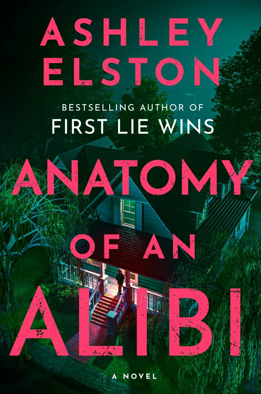 Anatomy of an Alibi: A Novel (Hardcover) | Walmart (US)