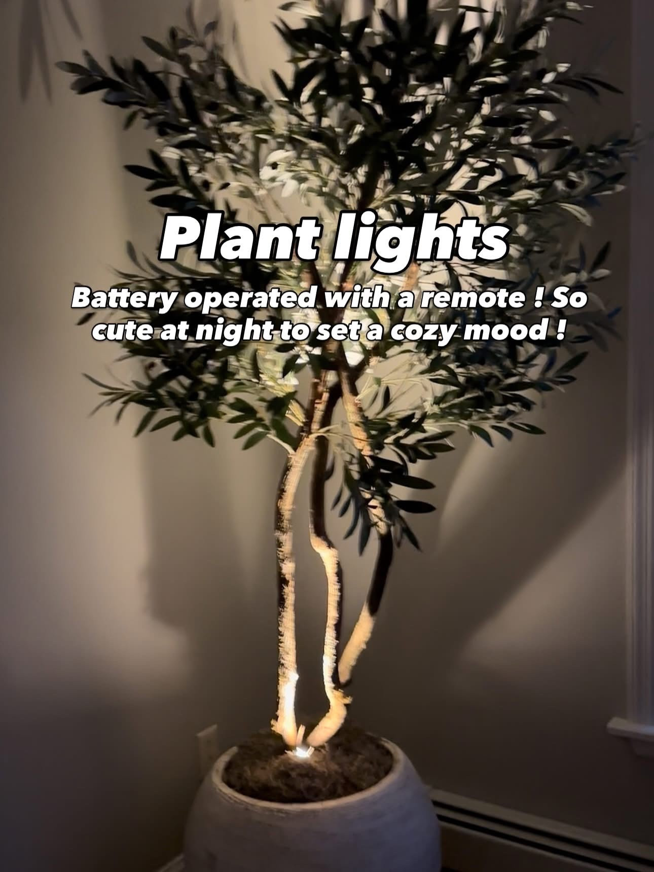 Lights I put in our faux trees ! Creates such a cozy vibe 

#LTKFindsUnder50 #LTKStyleTip #LTKHome