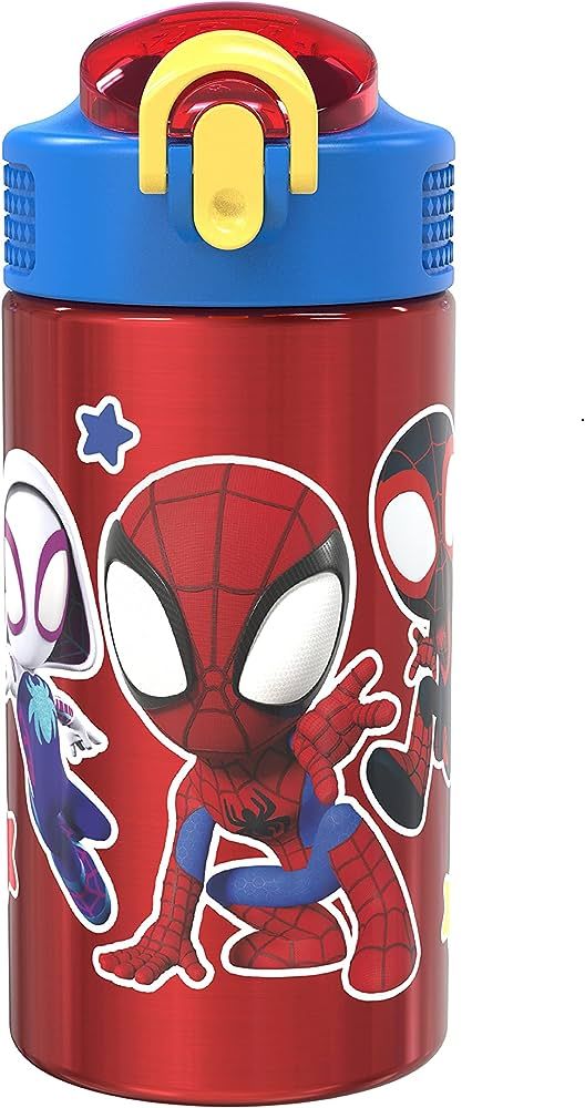 Zak Designs Marvel Spider-Man 18/8 Single Wall Stainless Steel Kids Water Bottle, Flip Straw Lock... | Amazon (US)