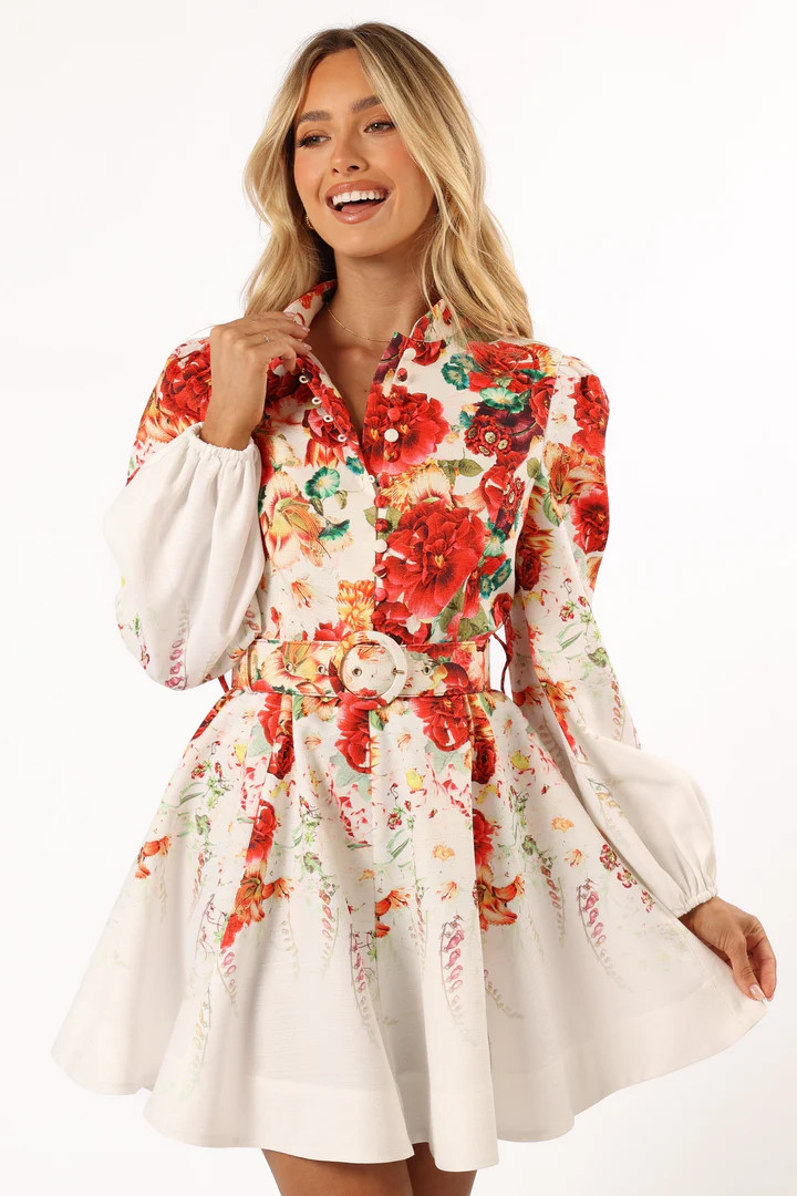 Pipps Long Sleeve Mini Dress - Multi | Petal & Pup (US)