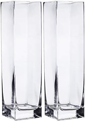 Clear Square Glass Vase Set of 2 (3.15X12inch) | Amazon (US)