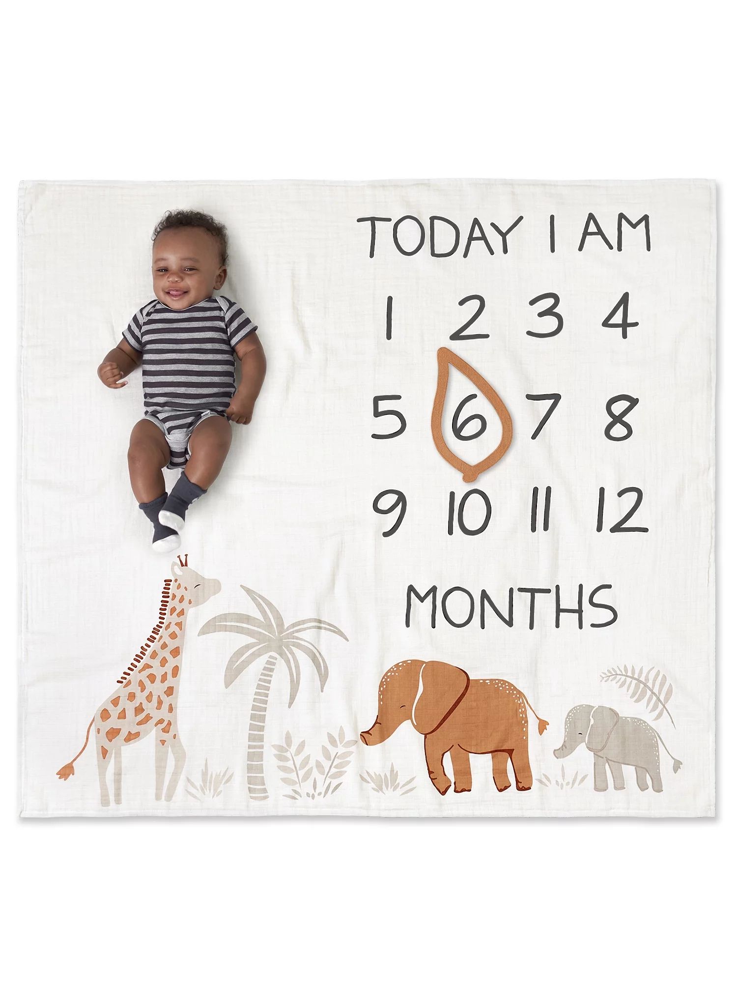 Modern Moments by Gerber Baby Boy Milestone Blanket & Frame Set, 2-Piece, Ivory Safari | Walmart (US)