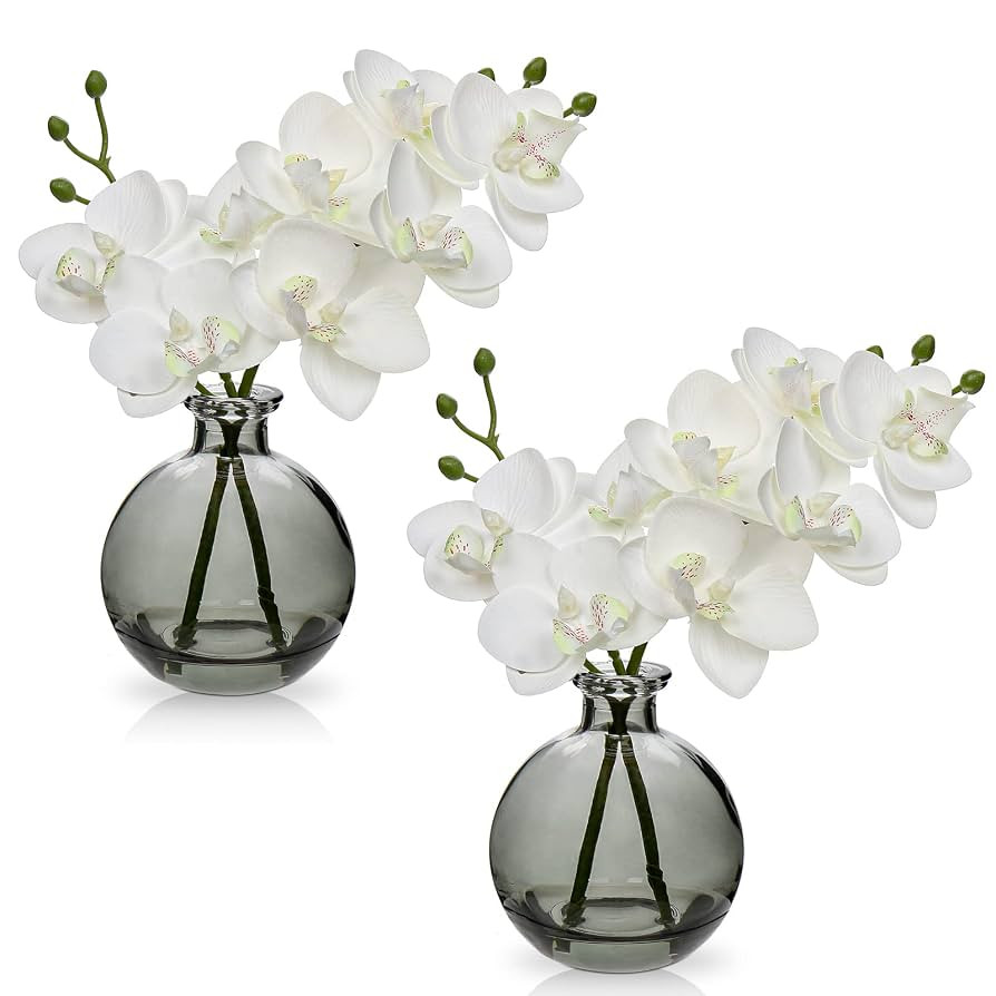 White Orchids Artificial Flowers Faux Orchid Arrangement with Black Glass Vase Set of 2 Real Touc... | Amazon (US)