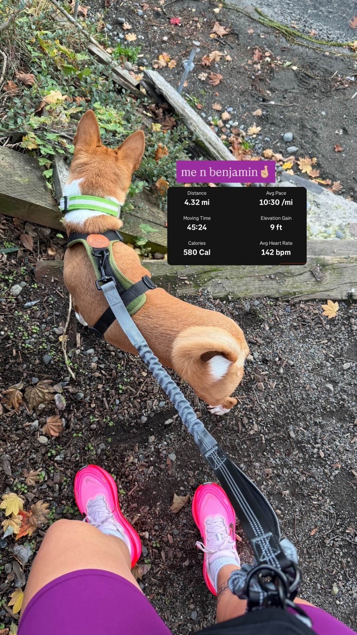 me n benjamin🤞🏼

#LTKActive #LTKPets