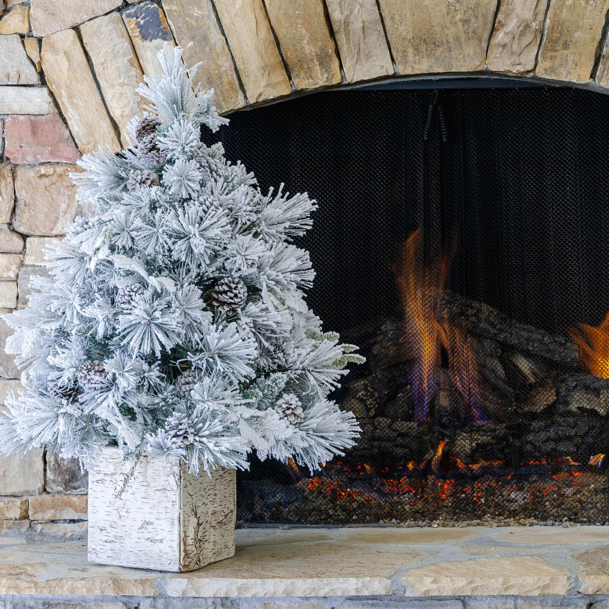 3' Marquis Flock Tabletop Tree with 70 Warm White LED Lights | King of Christmas