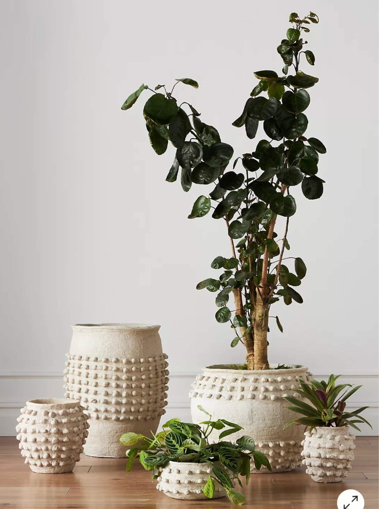 Textured pots with multiple uses. Watertight unique hand painted cement vase  
kimbentley, home accessories, home decor

#LTKsalealert #LTKSpringSale #LTKhome