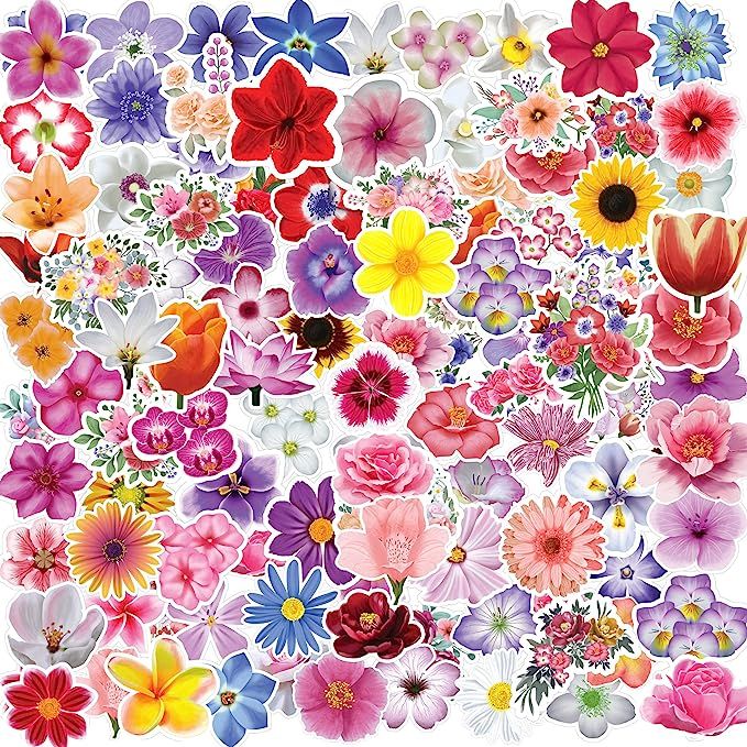 100 Flower Stickers, Floral Sticker Pack for Scrapbook, Laptop, Aesthetic Waterproof Stickers, Vi... | Amazon (US)