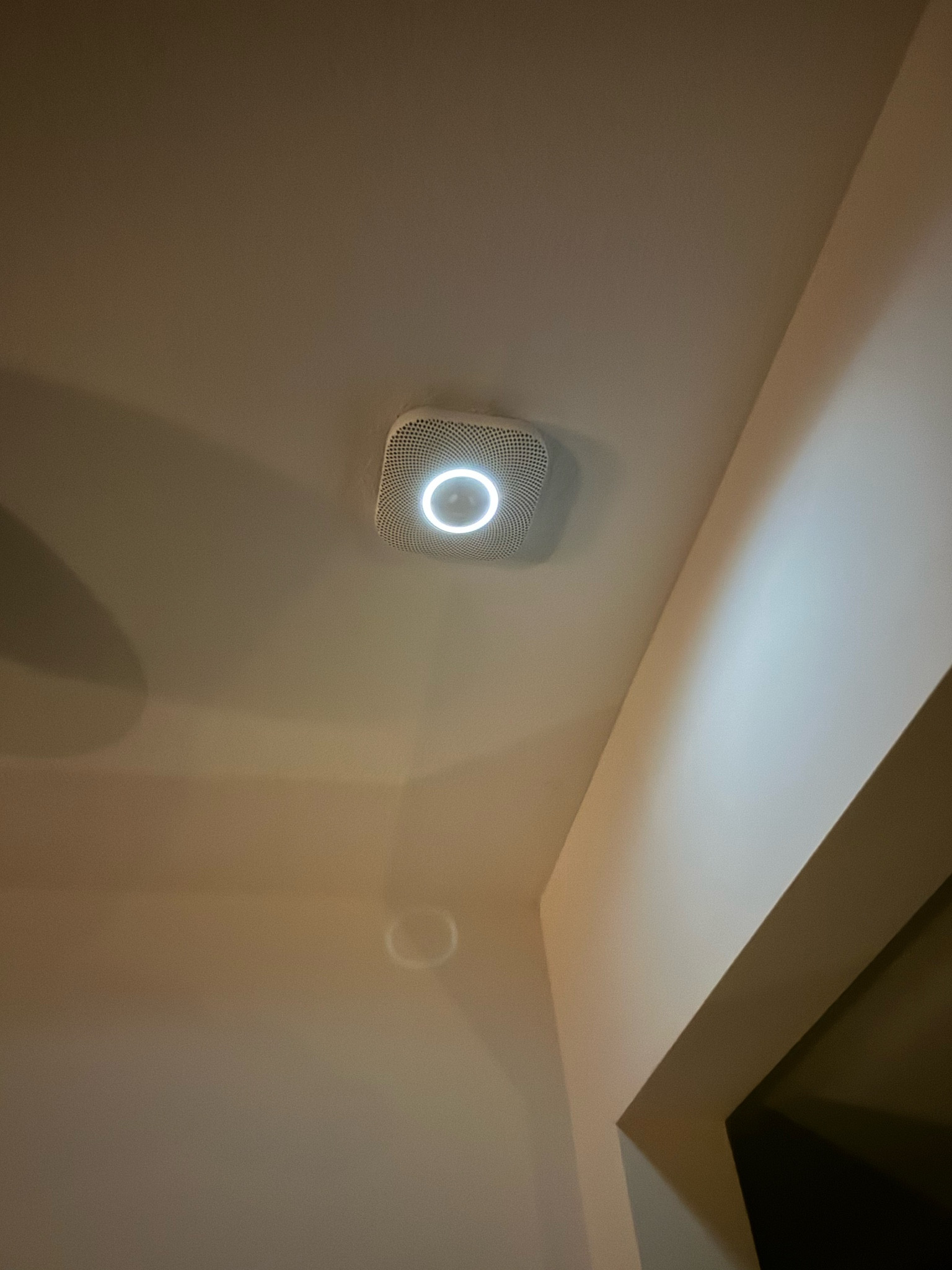 A few weeks ago when I got home from a trip to Boston, I found that my smoke alarms were chirping. (I have 3.) They are hard wired, and usually when you change one battery, you have to change them all. I assumed the chirping was a battery issue, so I swapped them out for new…but the chirping continued. I came to realize, it wasn’t a battery issue, it was a product issue. Apparently smoke alarms need replaced about every 8 years. We build this house 8 years ago, so it makes sense. 

I hated the ugly smoke alarms that the builder added to each floor. And I hated having to fan the one near the kitchen incessantly anytime it thought something in the oven was burning. (Even was it wasn’t.) So, I did my research to find a better system. 

I ended up going with nest. We have a nest thermostat, so this made sense. I love that you can just hit a button on your app if your oven sets it off, rather than stand under it waving a towel viciously. 

I also love that I’ll het a notification if something is burning when I’m not home. 

Lastly, I love that it lights up at night when you walk under it. 

I bought 3, one for each floor, and I’m so glad I did!

(*They also are a carbon monoxide detector, in addition to just smoke.)

#LTKHome