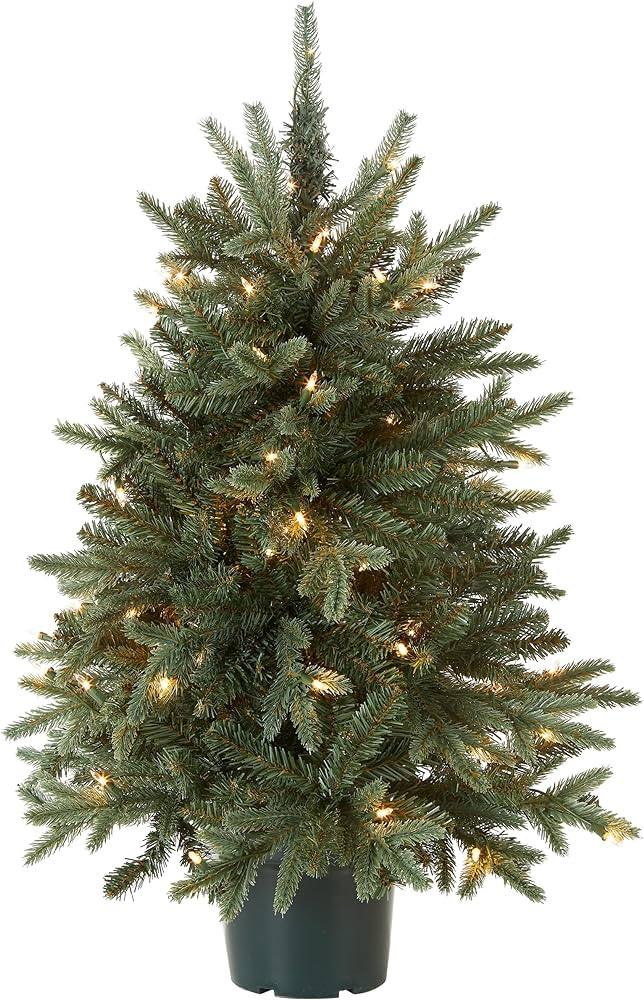 National Tree Company Artificial Christmas Tree For Entrances | Includes White Lights and Pot | E... | Amazon (US)