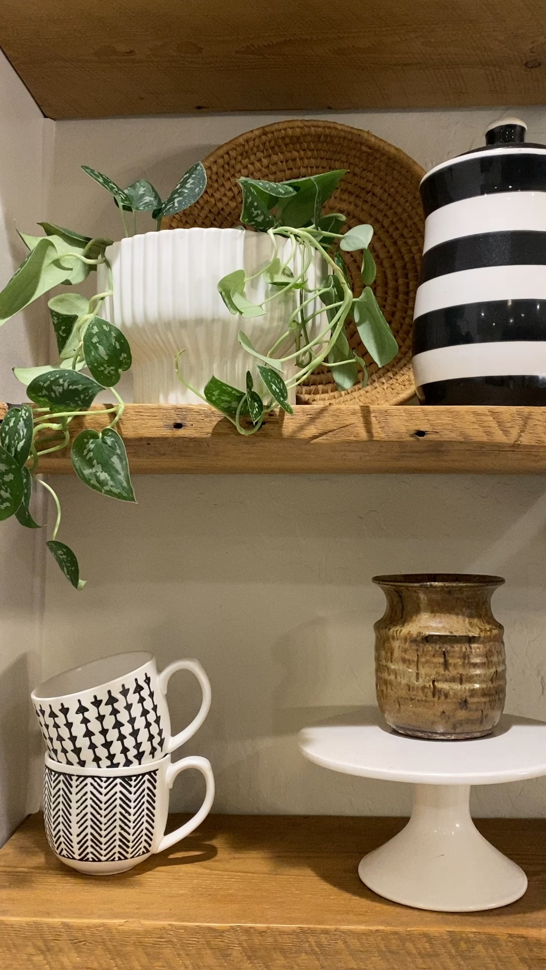 This fluted planter is so cute 

#LTKFind #LTKhome