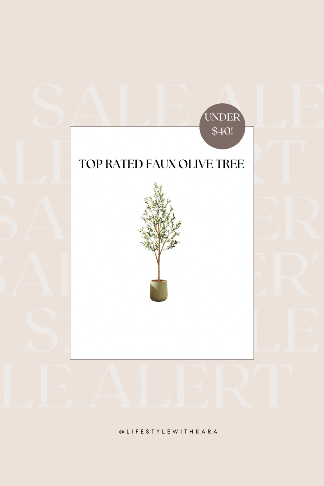 Ridiculously good price for this viral olive tree! 🚨 

#LTKFindsUnder50 #LTKFindsUnder100 #LTKHome