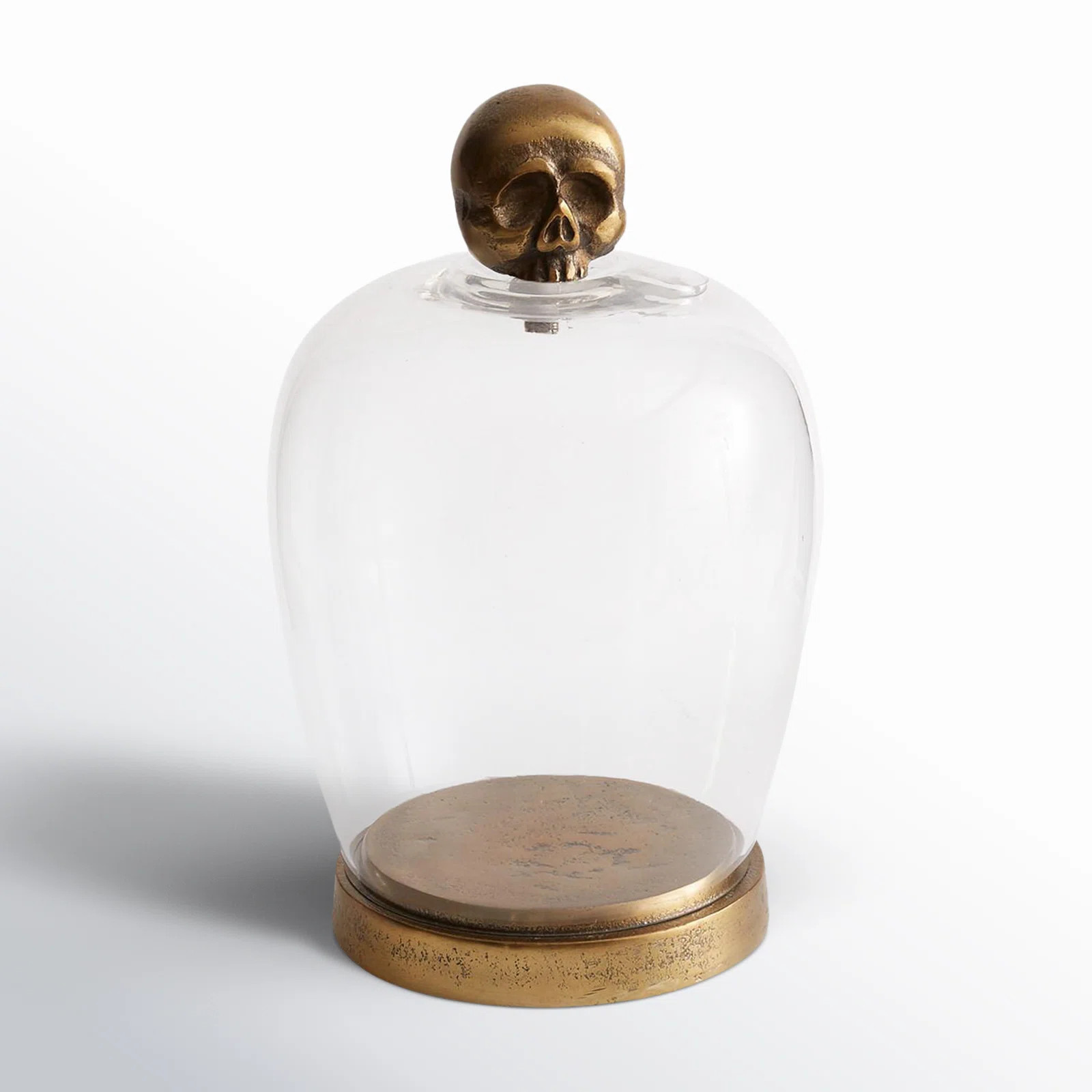 Birch Lane™ Beufort Skull Cloche & Reviews | Wayfair | Wayfair North America