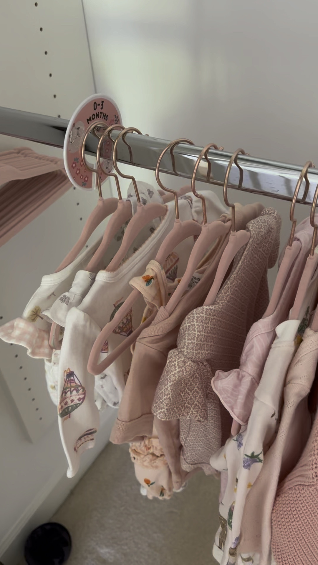 Found these hangers for baby girls nursery and I love that they came with size labels so you can organize everything by size! All wash bags and closet organization linked! 

#Nursery #nurseryinspo #baby #nesting #nestwithme

#LTKBump #LTKHome #LTKBaby