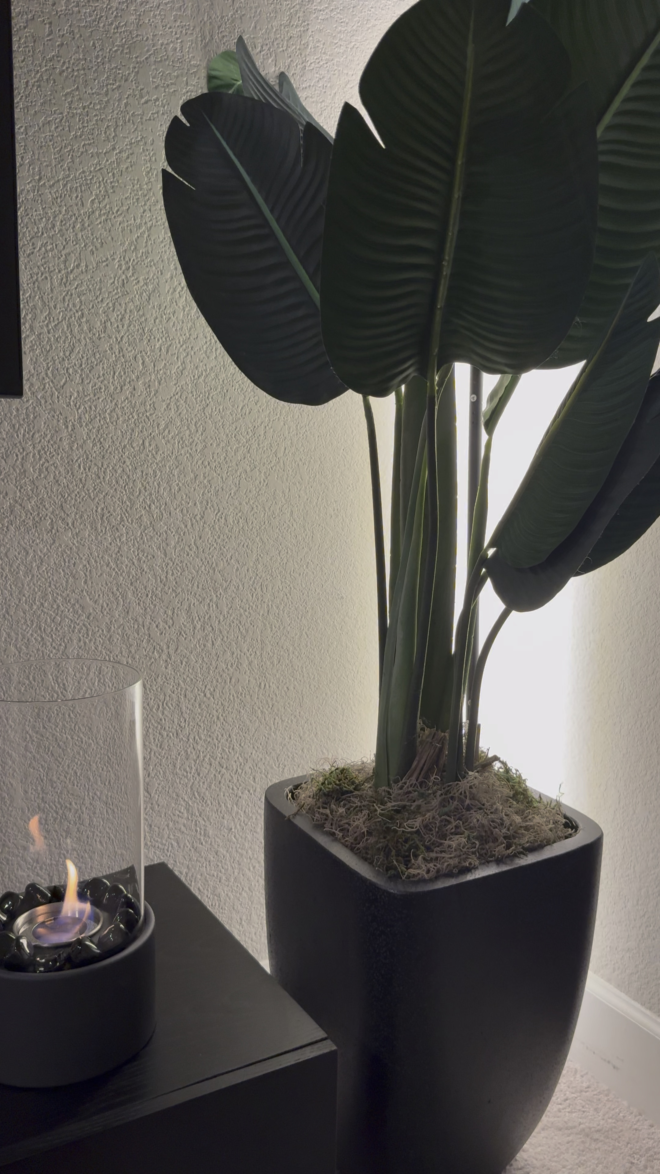 Spot lights for cozy vibes

#LTKHome