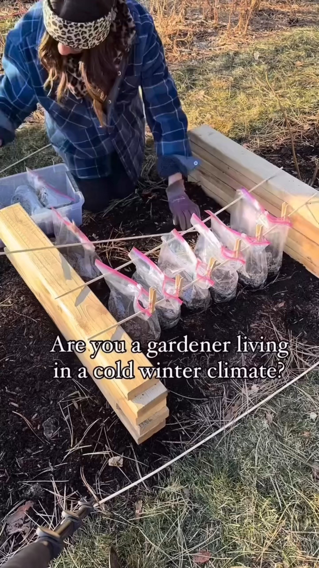 Winter sowing season is HERE and I’m so excited to start my seeds this year using the outdoor bag method! ❄️🌱
Perfect for zones 3–9 — no grow lights or indoor setup needed. Just soil, seeds + clear bags. Nature does the cold stratifying for you!
I linked the exact supplies I’m using for winter sowing 
Shop everything I used below ⬇️
(Just tap to browse + add to cart!)

#LTKhome #LTKgarden #LTKspring #LTKfinds #gardeningessentials

#LTKHome #LTKSeasonal #LTKActive