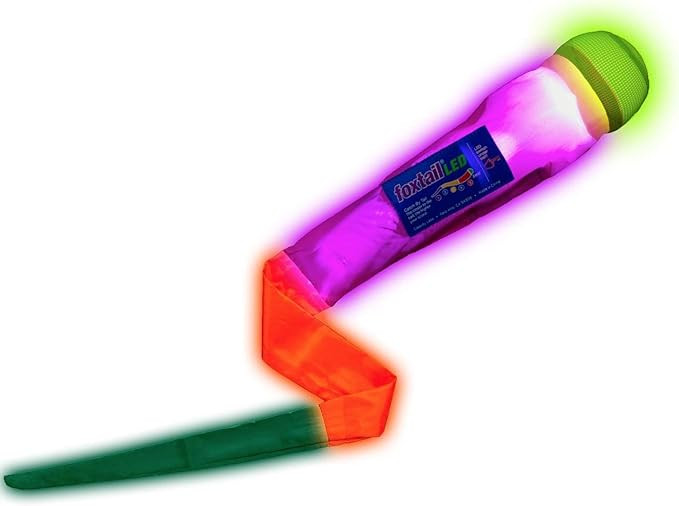 Foxtail LED - Outdoor Throw and Catch Light Up Game - Foam Ball & Tail Glow at Night - Play in Th... | Amazon (US)