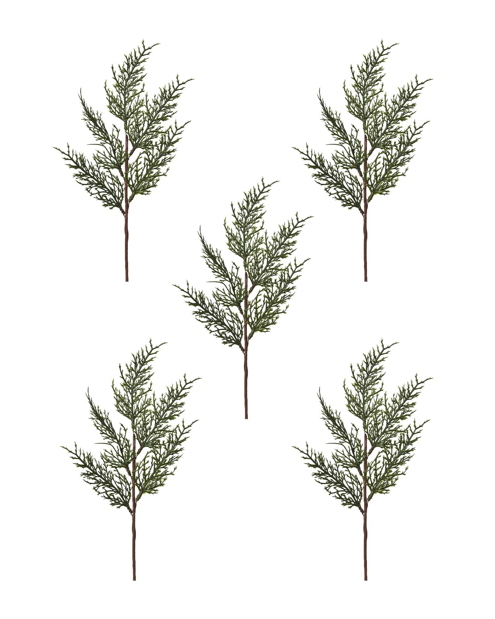 Set of 5 Natural Cypress Picks, Green Tips, 40 cm – Flexible Branches for Christmas Trees & Wre... | Wayfair UK