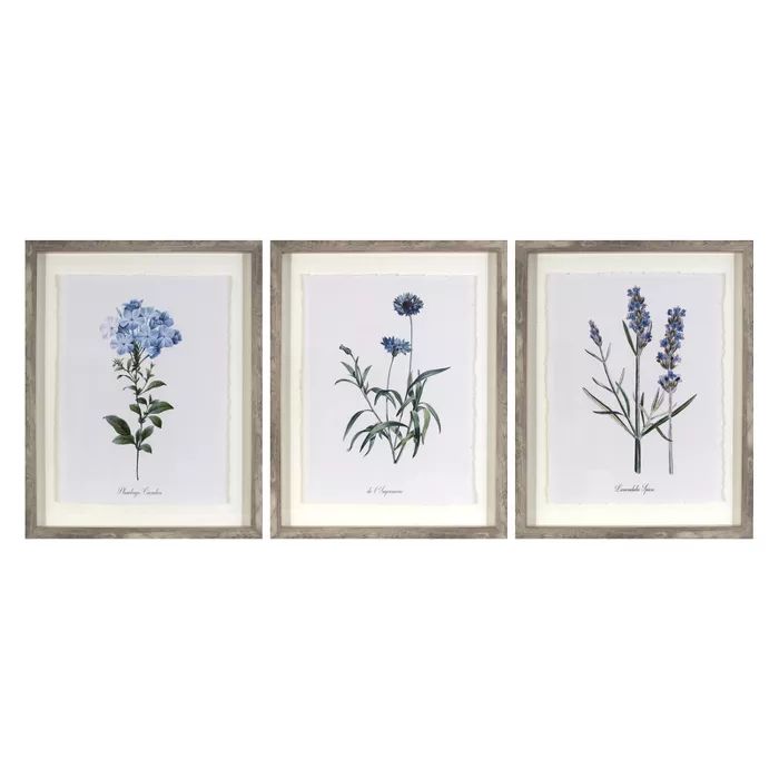 (Set of 3) 16"x20" Framed Vintage Botanicals Decorative Wall Art - Threshold™ | Target