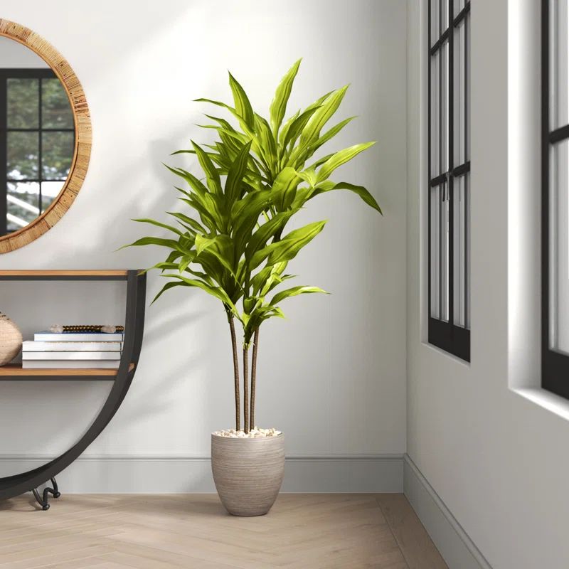 68'' Faux Dracaena Tree in Ceramic Planter | Wayfair North America