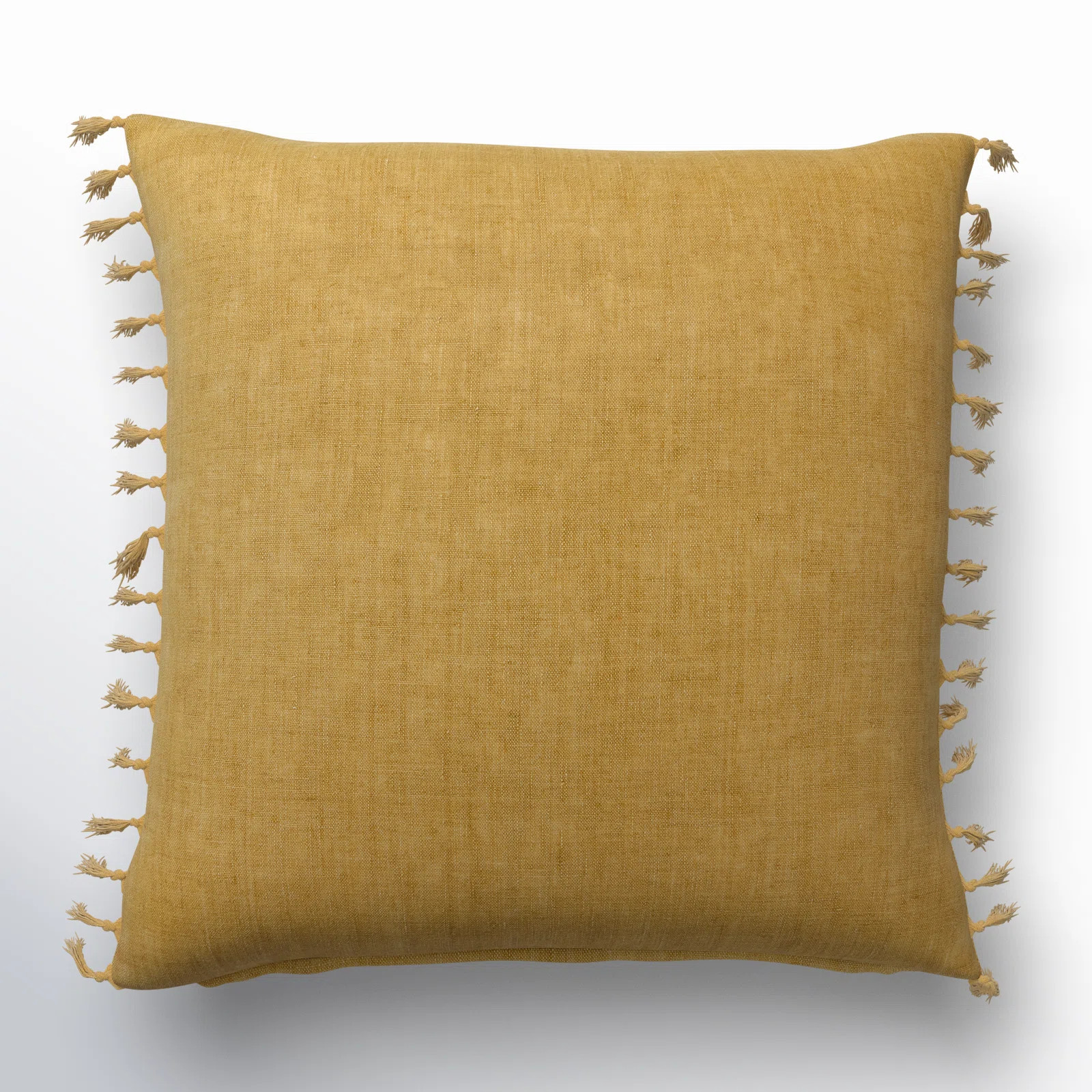Sharron Tassels Reversible Throw Pillow | Wayfair North America