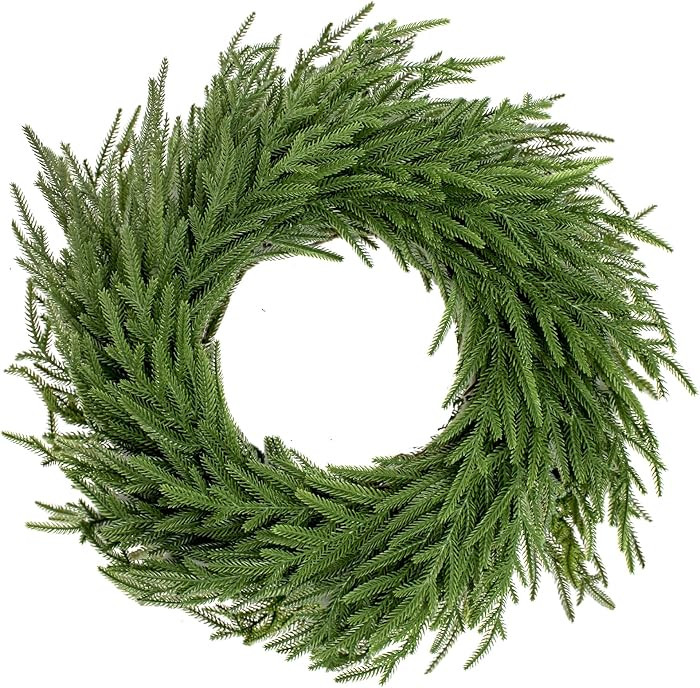 24" Christmas Real Touch Norfolk Pine Wreath for Front Door Home Porch Window Wall Farmhouse Deco... | Amazon (US)