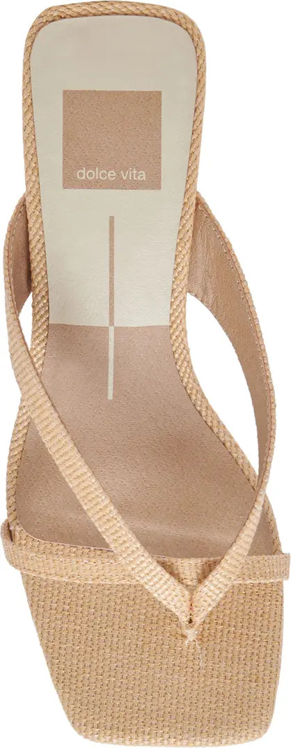 Brevel Kitten Heel Flip Flop (Women) | Nordstrom