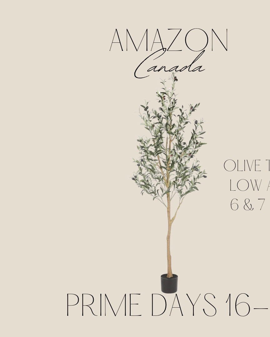 AMAZON CANADA 🇨🇦 PRIME DEALS JULY 16-17

Olive trees 6 and 7 feet tall on sale for as low as $68!

#LTKhome #LTKcanada