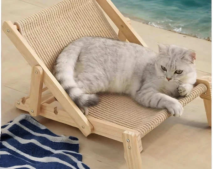 Cat Wall Shelves, Cat Shelves, Cat Climbing Wall Shelf, Cat Window Perch, Cat Wall Shelves, Cat W... | Etsy (US)