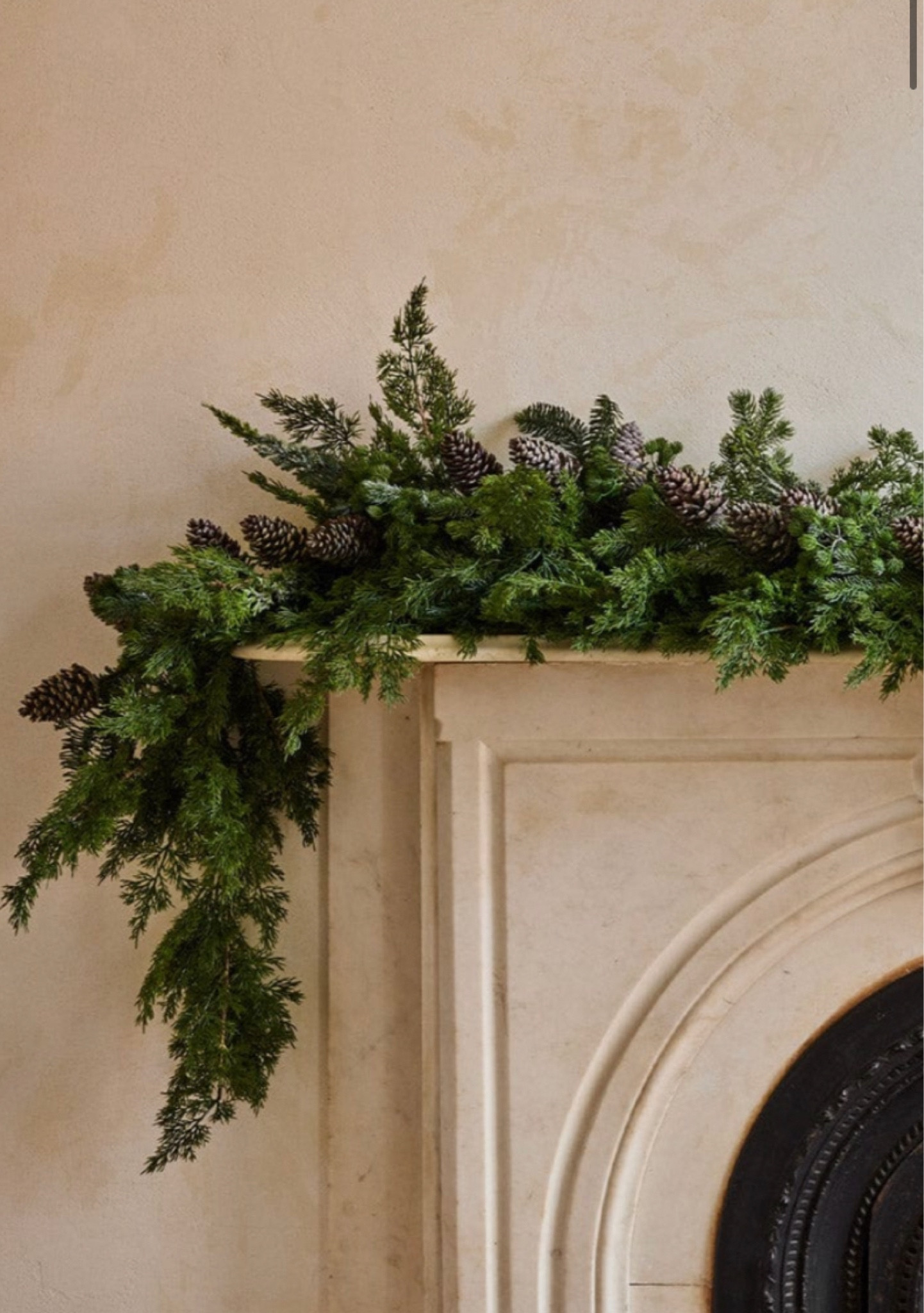 New arrival cedar garland. Mixed here with Norfolk pine and pine cones. Gorgeous look for mantel or staircase 
Christmas garland, holiday decorations, pine garland, Christmas decor 



#LTKSeasonal #LTKhome #LTKunder100