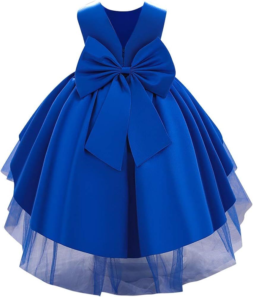 Baby Girls Dress Formal Bowknot Tutu Backless Puffy Tulle Gowns Princess Wedding Baptism Pageant ... | Amazon (US)