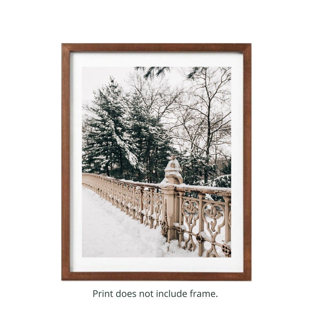 23. central Park Snow Day Bridge Photography Print New York - Etsy | Etsy (US)