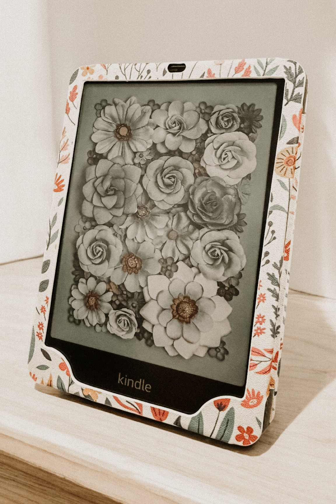 Kindle colorsoft case