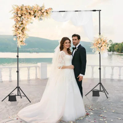 Backdrop Stand Background Stand Kit with 2 Tripod for Party & Photo Studio | Wayfair North America
