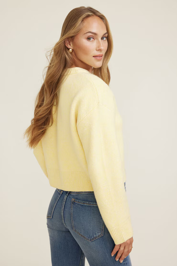Jane Boxy Crewneck Sweater | Dynamite Clothing