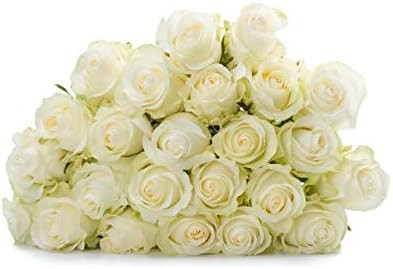 Rose Delivery by BloomsyBox - Two Dozen White Roses Hand-Tied, Long Vase Life | Amazon (US)
