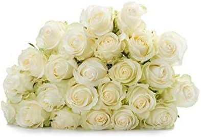 Rose Delivery by BloomsyBox - Two Dozen White Roses Hand-Tied, Long Vase Life | Amazon (US)