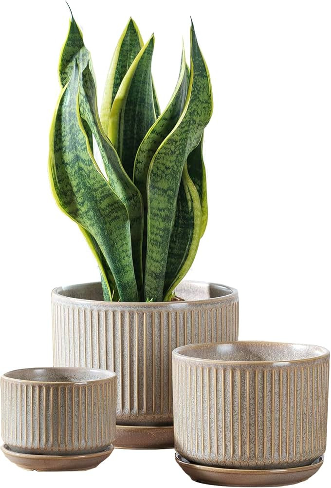 Speckle Gray Ceramic Plant Pots Set of 3, 4.3+5.5+6.7 Inch Indoor Flower Pot with Drainage Hole &... | Amazon (US)