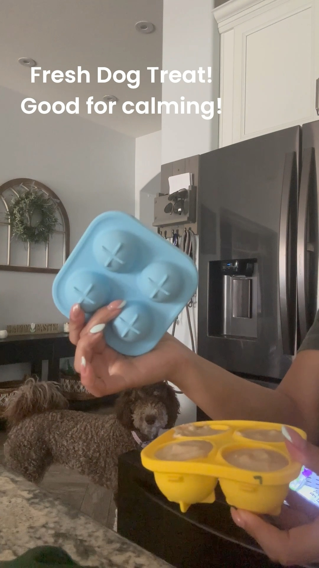  Chanel has a large. My chihuahuas have a small. I used to use the refillable treats but I decided to make my own treats at home in the blender and freeze them in the silicon molds. Helps me make different treats and not just stick to one. Doggies are all obsessed! 

#LTKFindsUnder50 #LTKPets #LTKHome