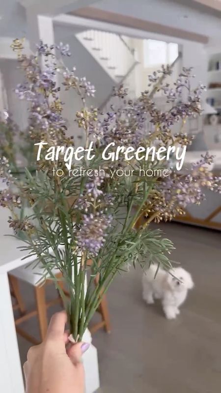 Pretty Target faux stems for your home!! So realistic and affordable!!

(5/26)

#LTKStyleTip #LTKHome #LTKVideo