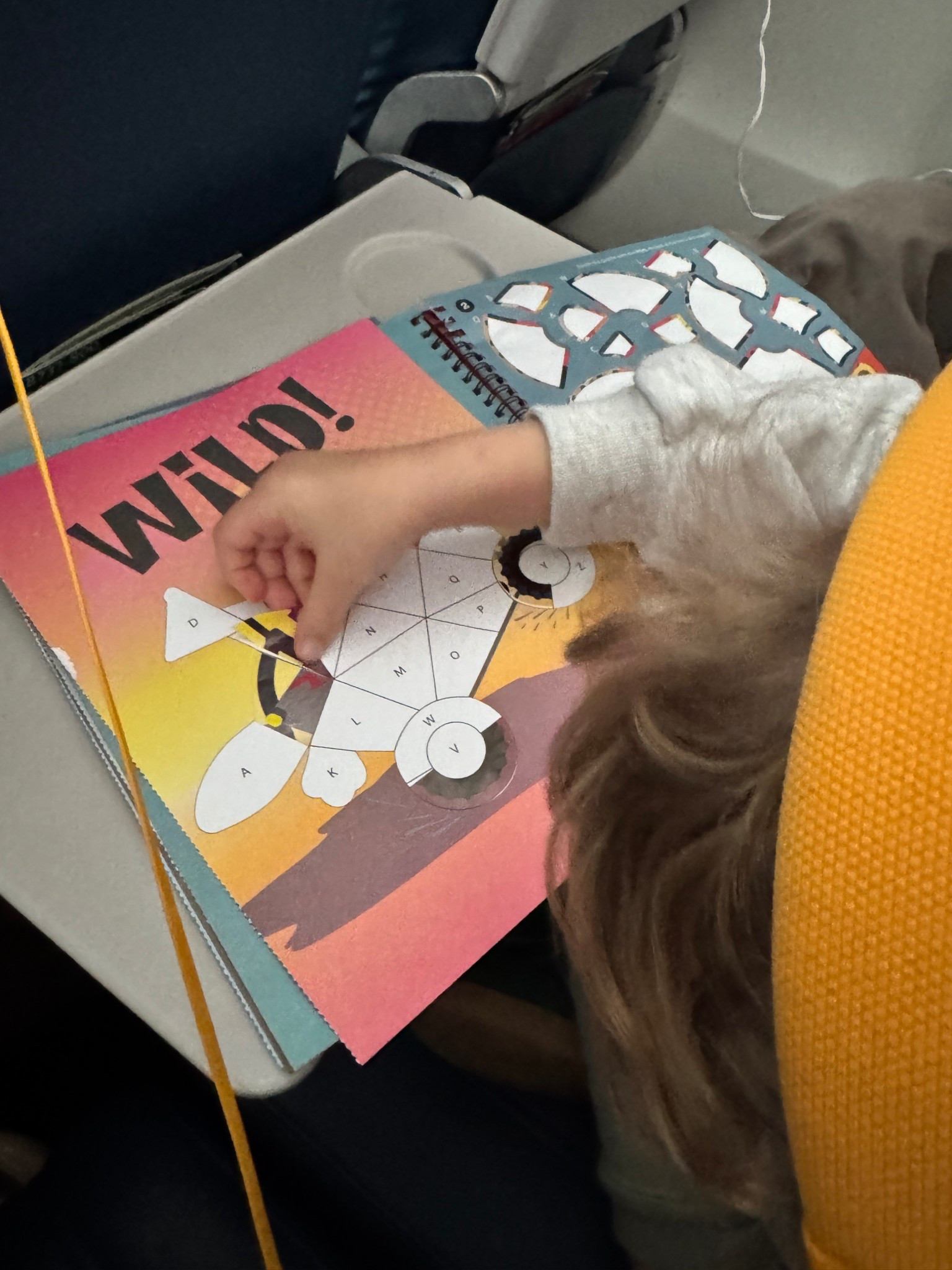 These books are essential for travel!!! Our (almost) four year old was completely taken by the monster trucks one, kept him busy for so long. There are tons of pictures to do and a million themes. He was so proud whenever he finished too ❤️ would also be great for restaurants!

#LTKmomlife #LTKKids #LTKTravel