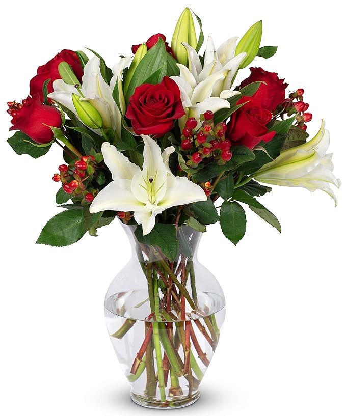 Benchmark Bouquets - Red Elegance (Glass Vase Included) - Fresh Flowers for Next Day Delivery - G... | Amazon (US)