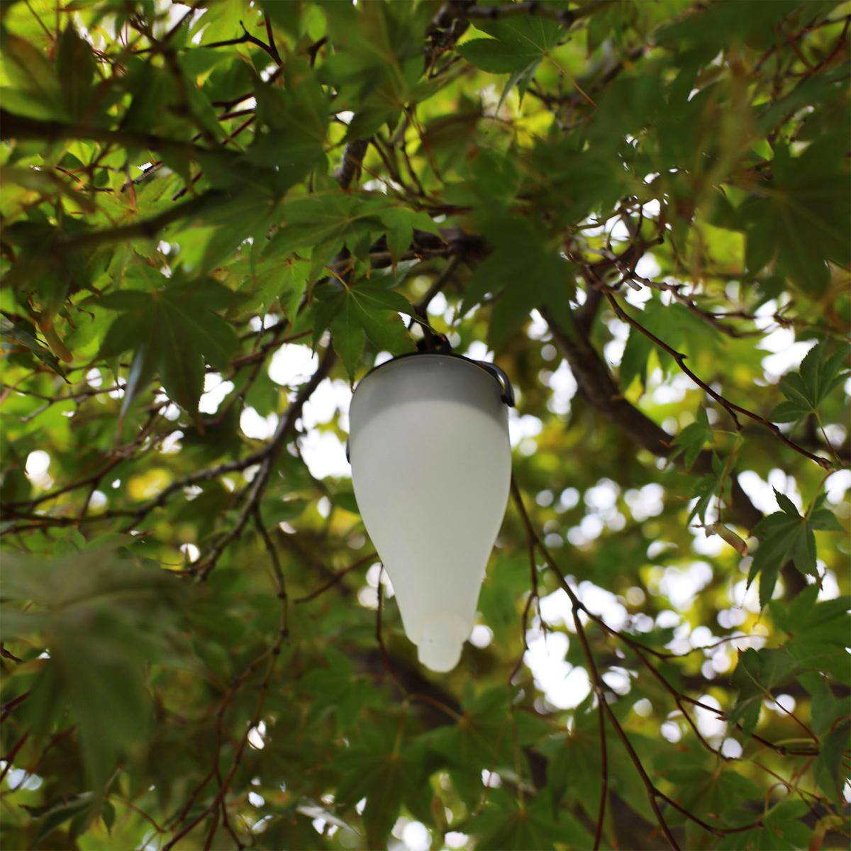 Paradise By Bliss 6 Solar Pathway Lights with Hooks | HSN