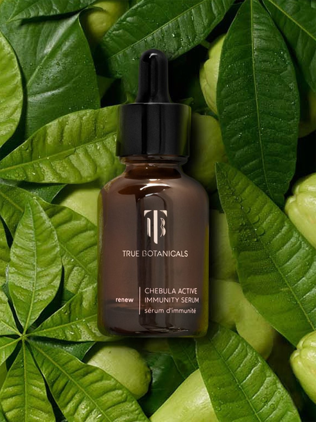 Renew Chebula Active Immunity Serum | True Botanicals, LLC