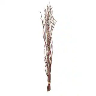 Natural Curly Willow by Ashland® | Michaels Stores