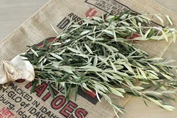 Olive Branches 8-10 stem bunches | Etsy | Etsy (US)