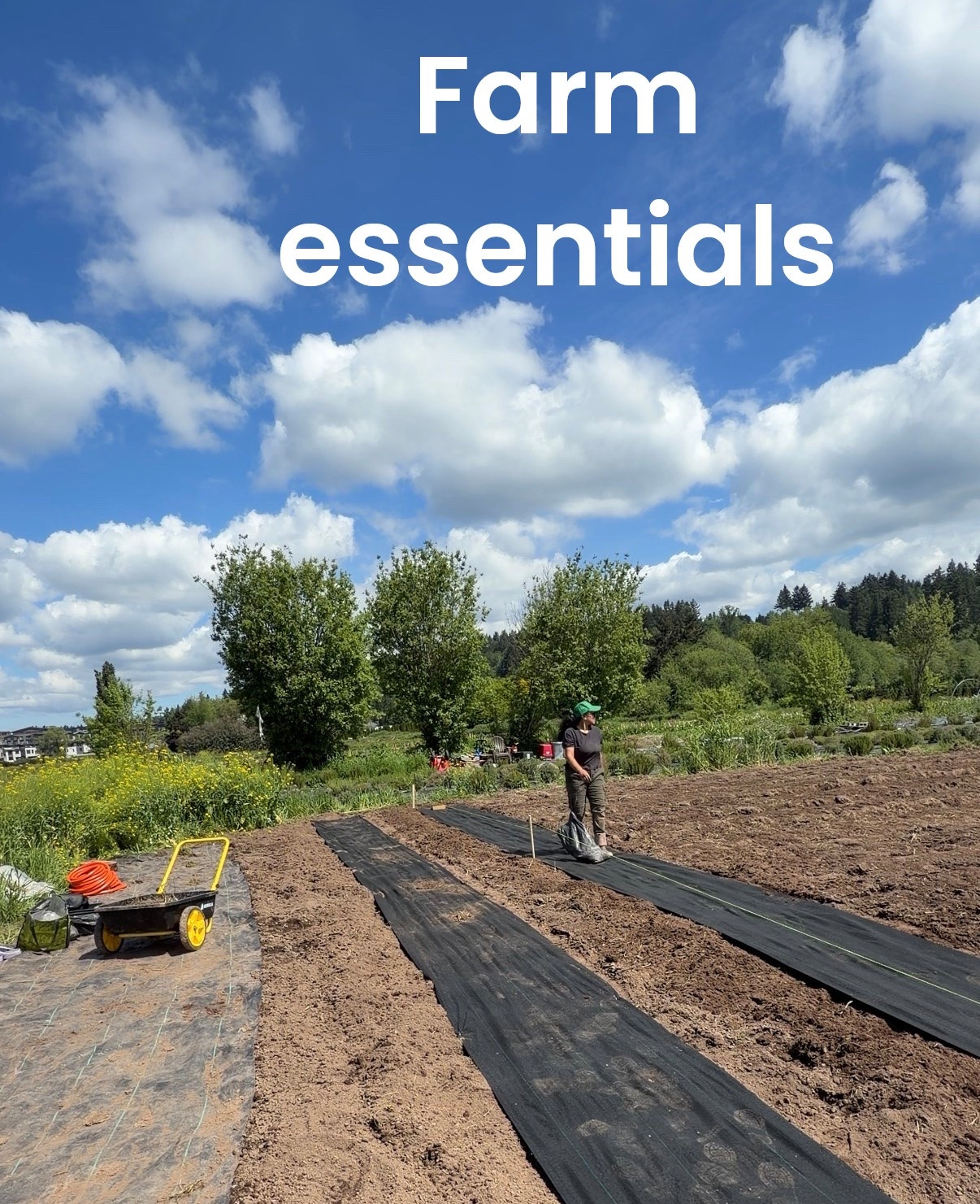 My favorite products I use on the farm!