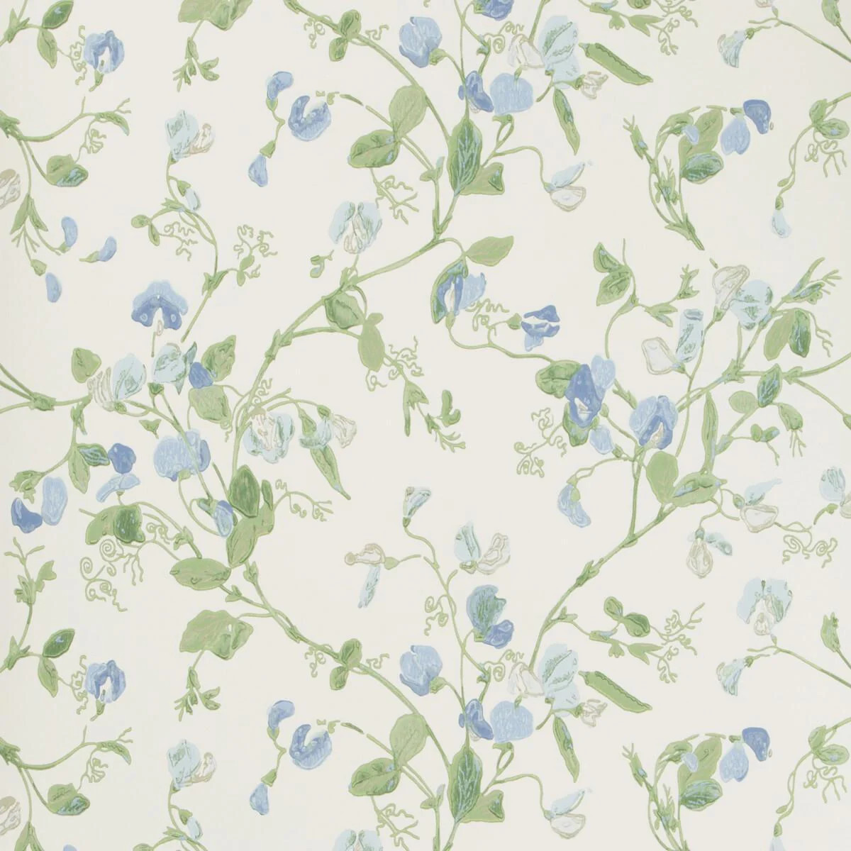 Cole & Son Sweet Pea Blue Wallpaper | DecoratorsBest