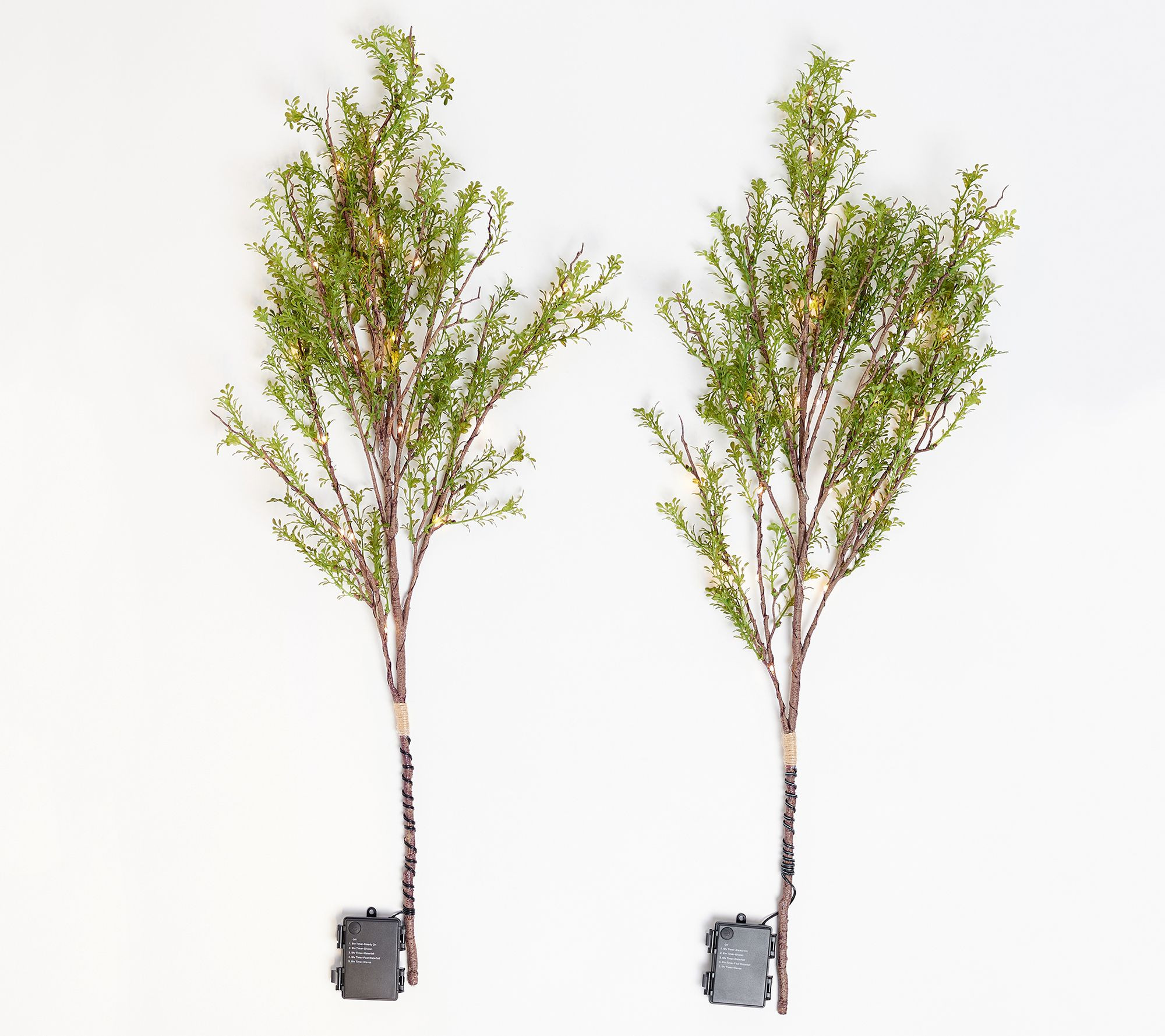 Bethlehem Lights Set of 2 Illuminated Decorative Spring Branches | QVC